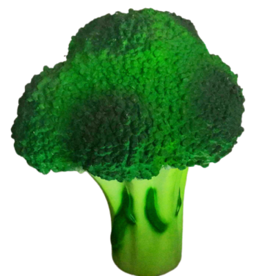 Mô hình bông cải xanh sống động giá tốt D600mm