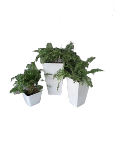 bon hoa composite cao cap removebg preview 58509