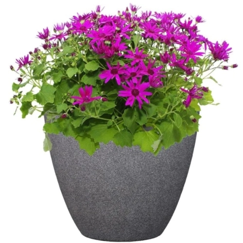 chau hoa composite cao cap 14084 2 09545