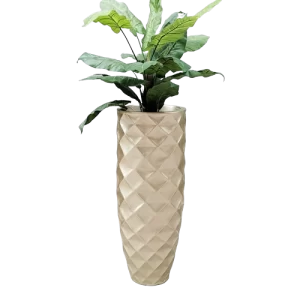 chau hoa composite gia re removebg preview 30909