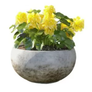 chau hoa composite phong cach co dien av 1 300x300