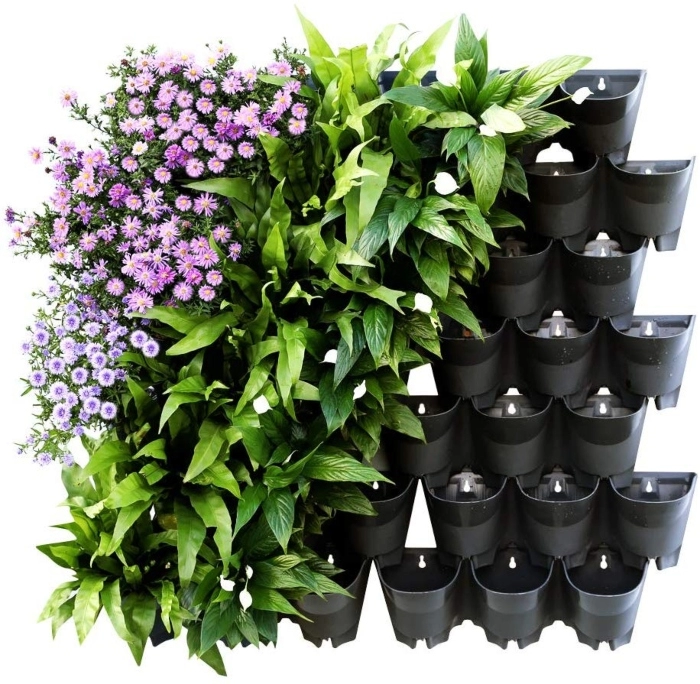 chau hoa mini composite dep 11355