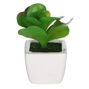 chau hoa mini composite gia re 1 68174