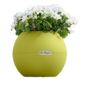 chau hoa tu duong composite dep re 1 66698