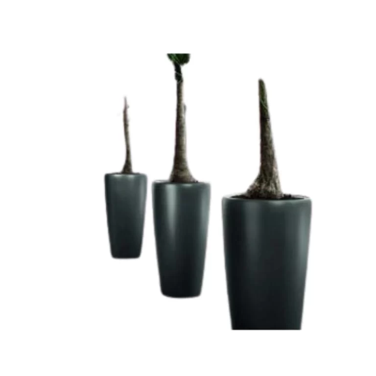Trang chủ Chậu cây kích thước lớn dạng trụ tròn D300*H900mm