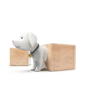 ghe cho chu cho bang nhua 62166