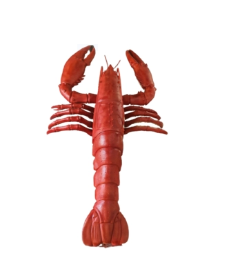 mo hinh composite tom hum trang tri nha hang hai san 74805