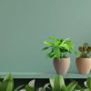 Chậu Composite Mini Để Bàn Narcio - Composite Sài Gòn