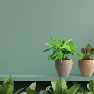 Chậu Composite Mini Để Bàn Narcio - Composite Sài Gòn