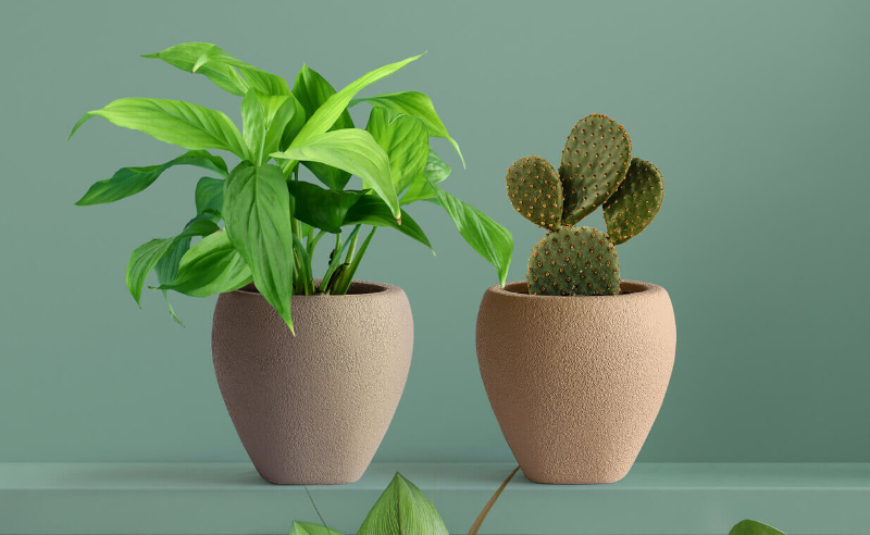 Chậu Composite Mini Để Bàn Narcio chất liệu FRP bền đẹp Chậu Composite Mini Để Bàn Narcio chất liệu FRP bền đẹp - góc 5