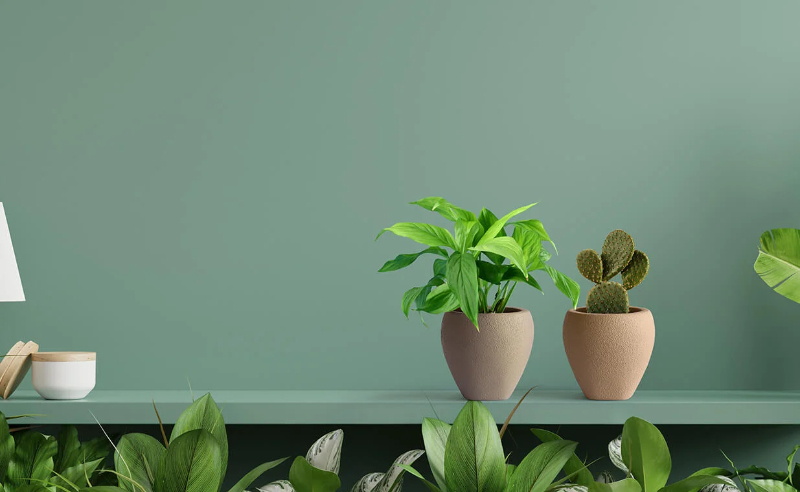 Chậu Composite Mini Để Bàn Narcio chất liệu FRP bền đẹp Chậu Composite Mini Để Bàn Narcio chất liệu FRP bền đẹp - góc 6