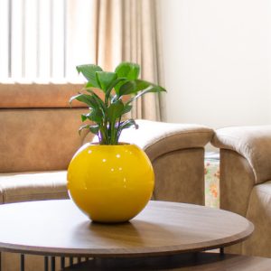 Chậu Composite Trang Trí Trong Nhà Altami - Composite Sài Gòn