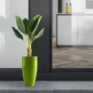 Chậu Composite Cỡ Lớn Tròn Ngoài Trời - Composite Sài Gòn