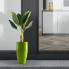 Chậu Composite Cỡ Lớn Tròn Ngoài Trời - Composite Sài Gòn