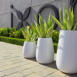 Chậu Composite Cỡ Lớn Vonny Thương Mại - Composite Sài Gòn